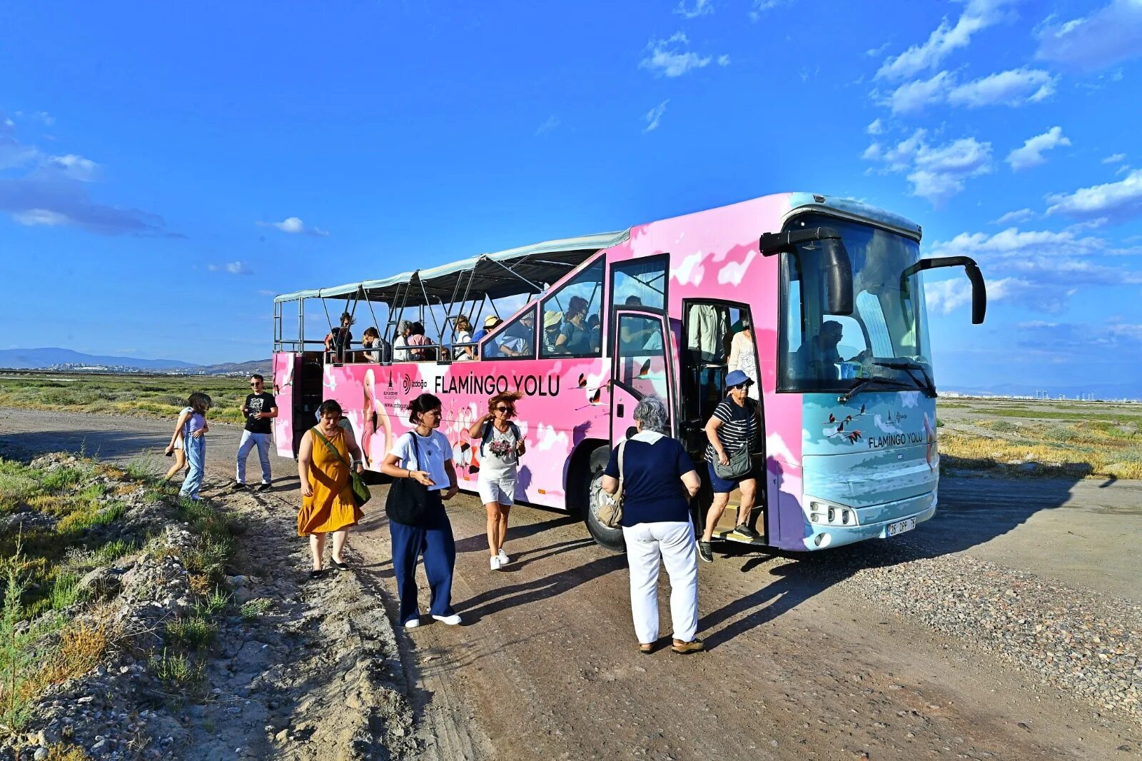 Тунис джерба розовое фламинго. Маршрутка кировск мурманск. Фламинго автобус. Фламинго автобус. Автобус до фламинго нск.