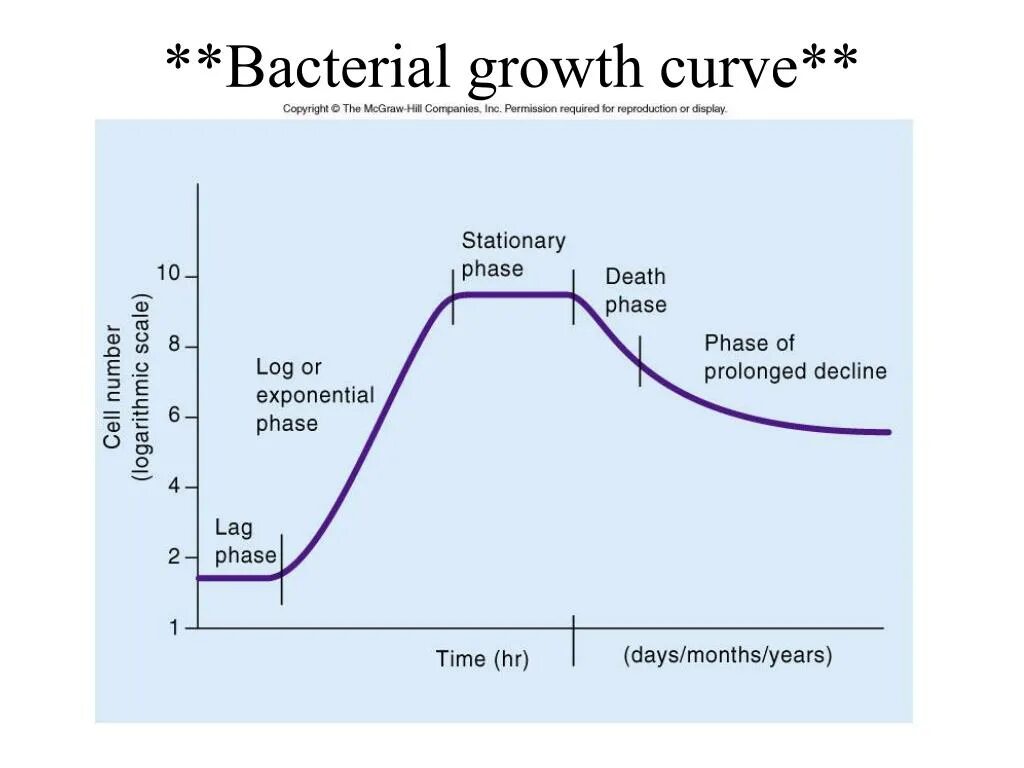 Bacterial growth phases. Bacterial growth. Lag phase bacterial growth. Bacterial growth. Bacterial growth phases.