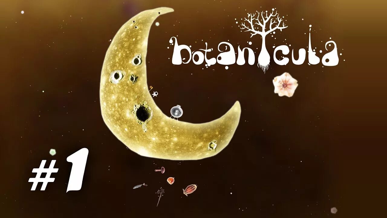 Botanicula прохождение. Ботаникула. Игра Ботаникула. Ботаникула диск.