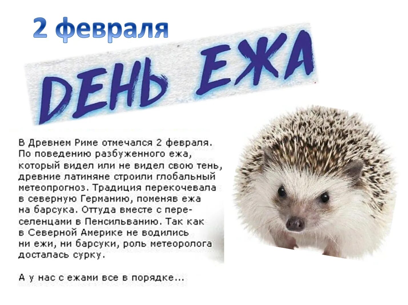 Ежик ежик ежик новый мем Знаки внимания: e0t ЖЖ