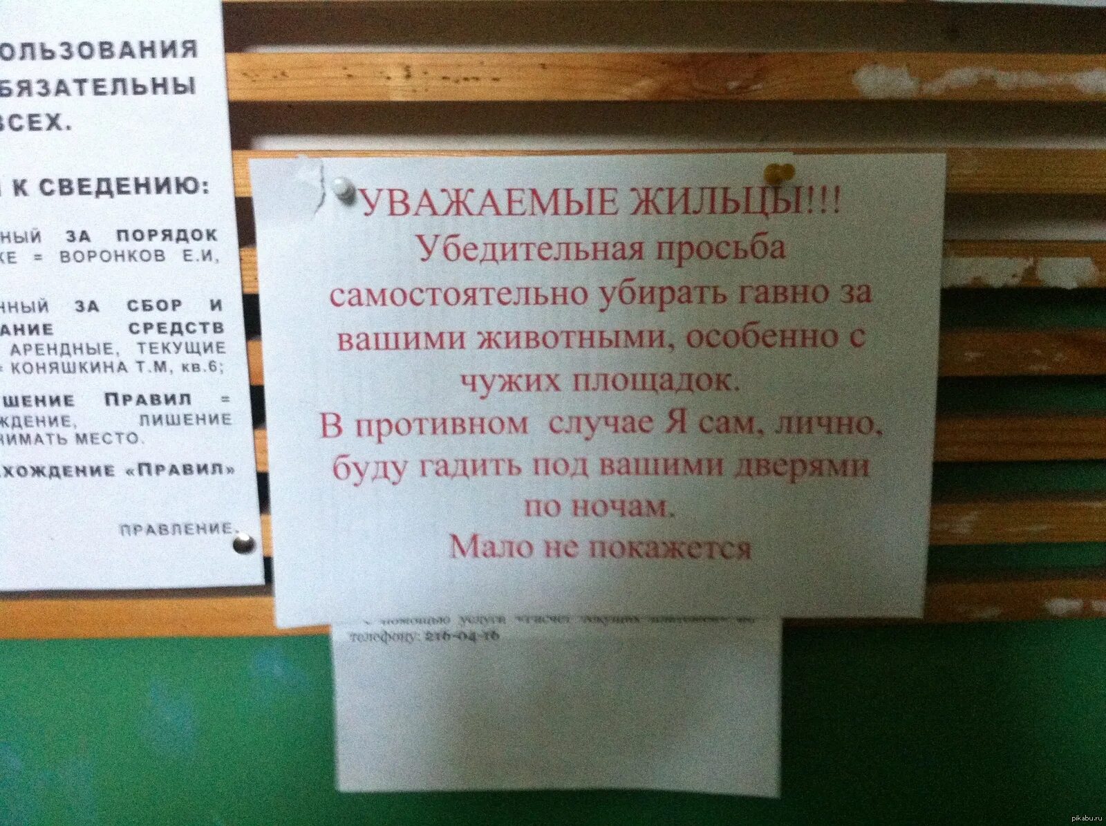 Сбор по поводу. Объявление о животных в подъезде. Объявление о собаках в подъезде. Объявления в подъезде. Гадят в подъезде объявления.