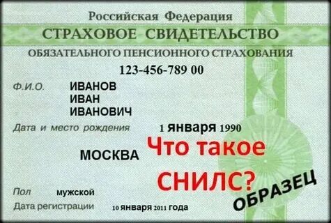 Снилс бумажный. Звонят просят номер снилс. Снилс новый образец. Звонят просят номер снилс. Звонят просят номер снилс.