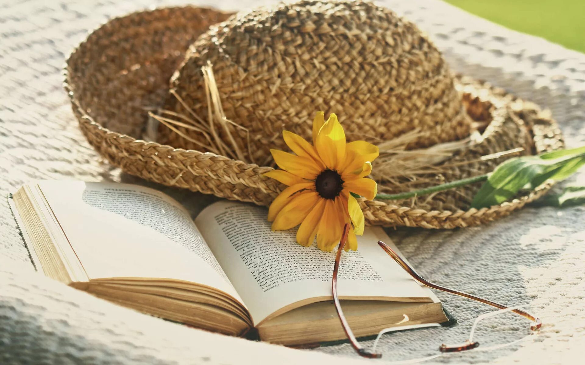 Современный фотоальбом. Меж страниц. Купава огинская прикладная некромантия 2. Меж страниц. Книги и ромашки.