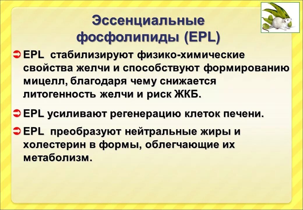 Фосфолиплюс инструкция по применению. Эссенциальные фосфолипиды препараты. Гепатопротекторы эссенциальные фосфолипиды. Эссенциальный фосполиды. Эссенциальные фосфолипиды (ЭФЛ)..