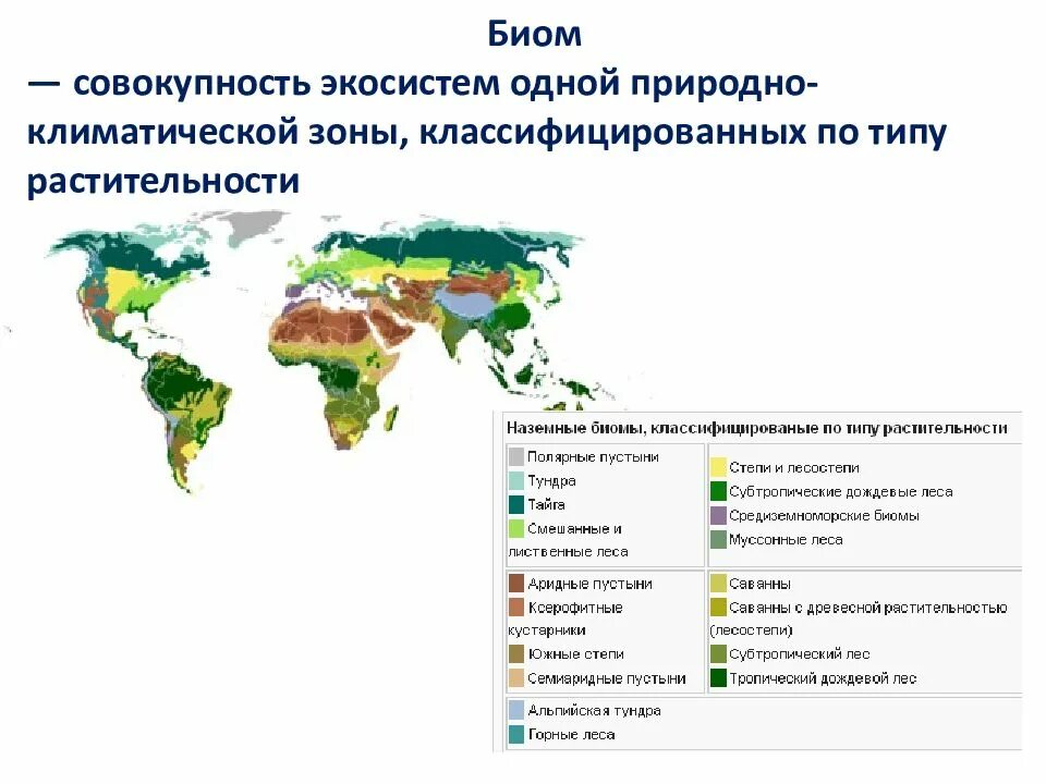 Тип природного биома 9 букв