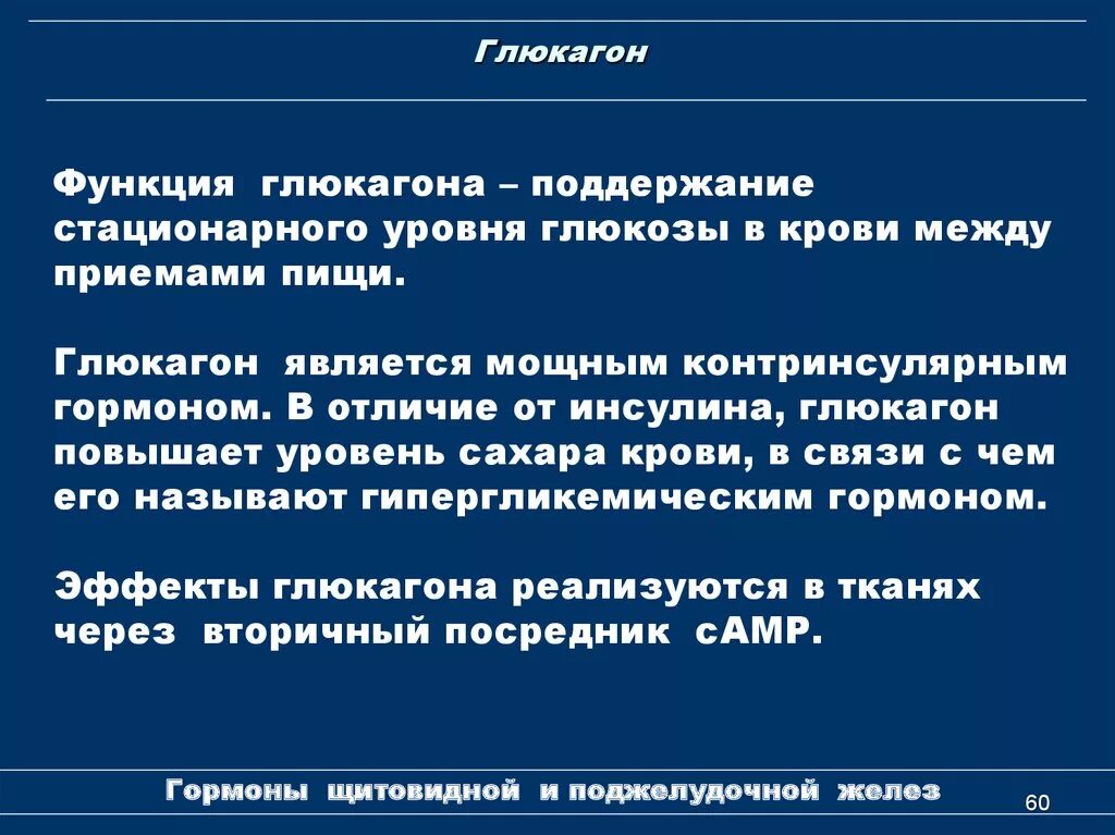 Глюкагон гормон. Глюкагон функции. Влияние глюкагона на уровень Глюкозы в крови. Глюкагон повышает уровень Глюкозы в крови.