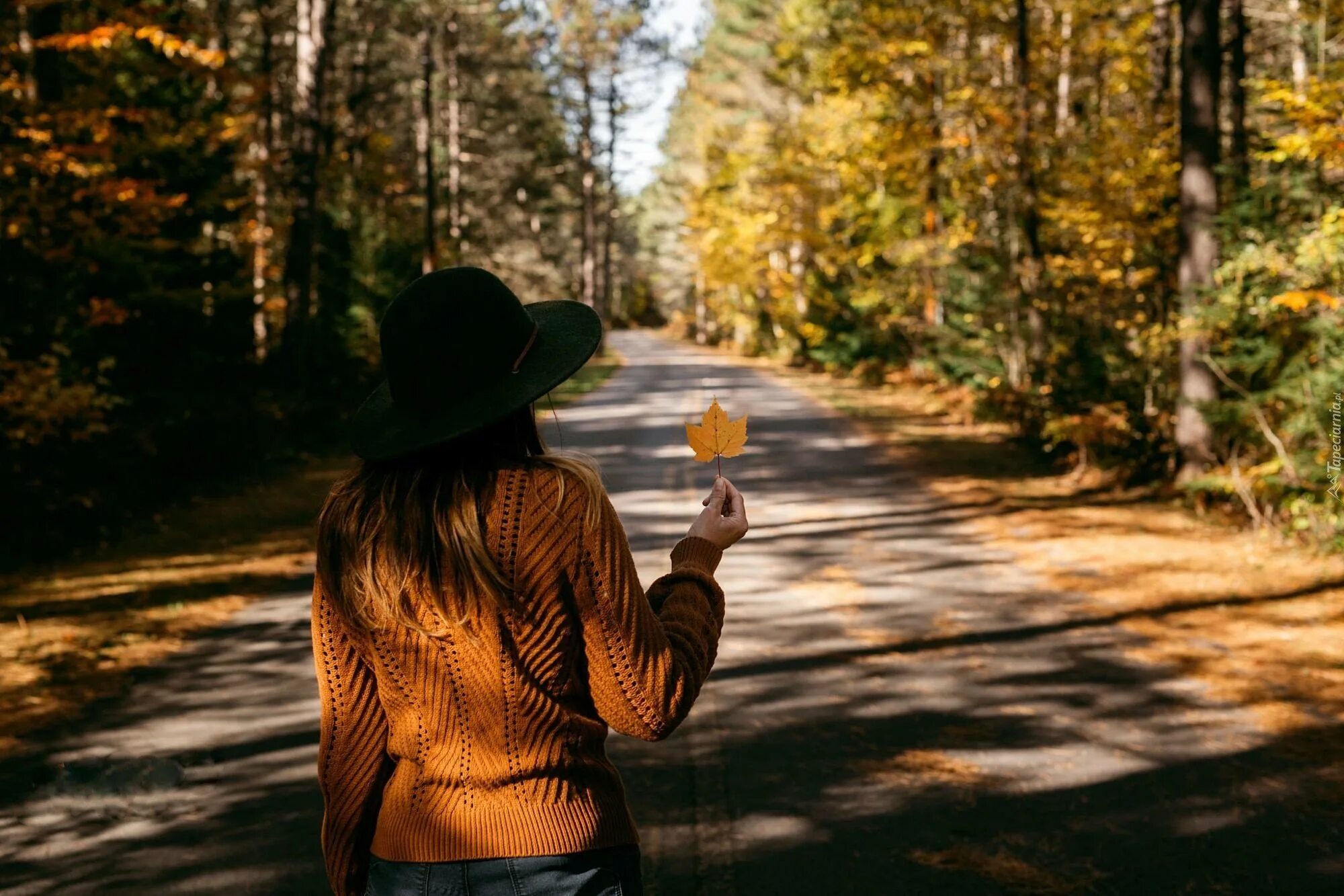 Девушка на осенней дороге. Девушка в шляпе в лесу. Девушка в осеннем лесу. Осень девушка со спины.
