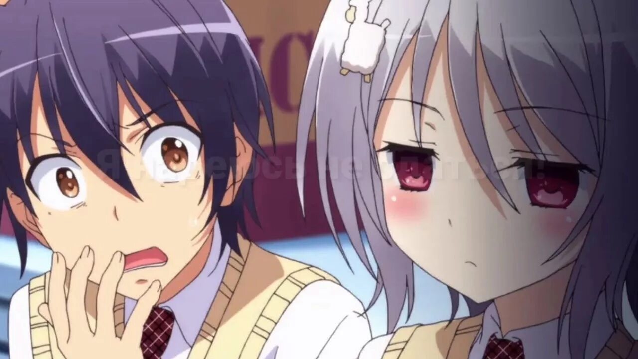 Проклятие мультивыбора канадэ. Нацухико проклятие мультивыбора. Проклятие мультивыбора превратило мою жизнь в ад хендай. Фурано юкихира. Проклятие мультивыбора превратило мою жизнь в ад.