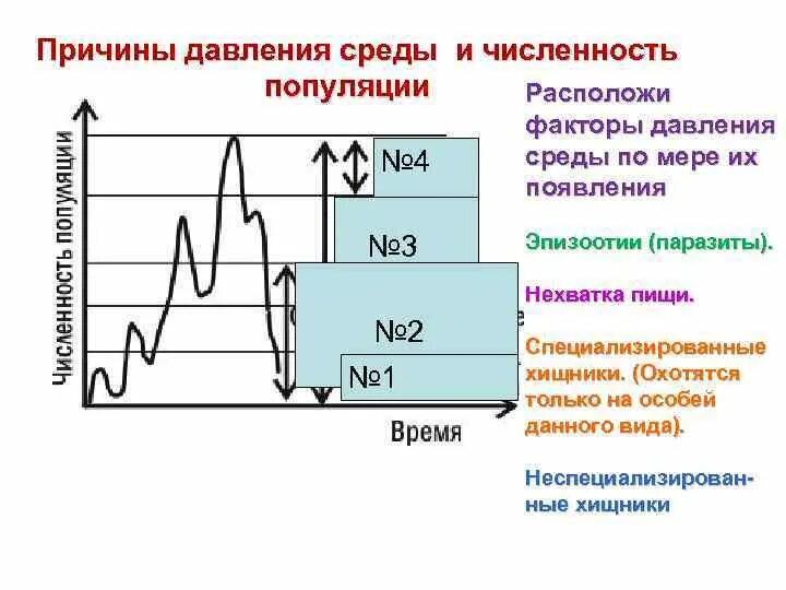 Давление окружения. Численность популяции. Факторы давления среды. Факторы влияющие на изменение численности популяций. Рост численности и плотность популяций.