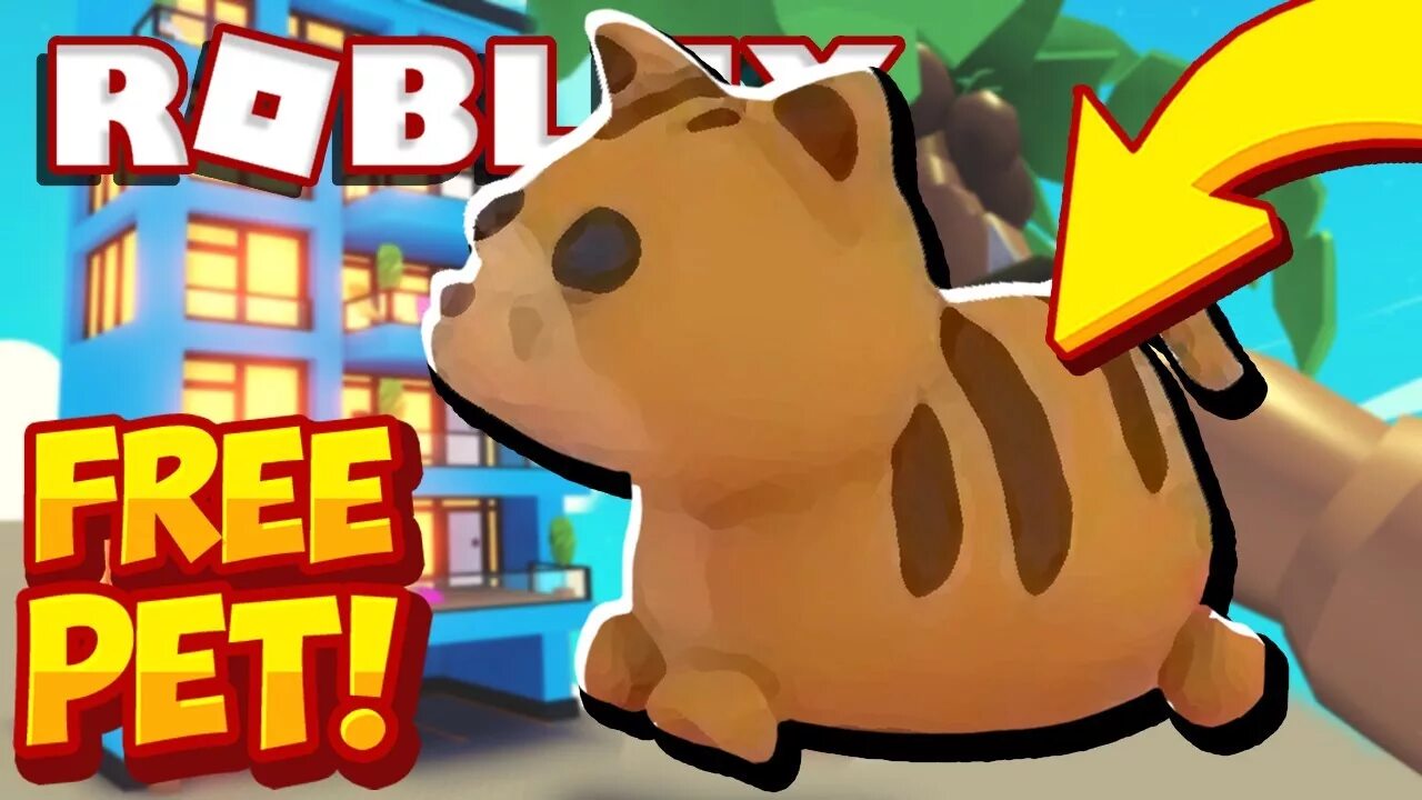 Get a new pet