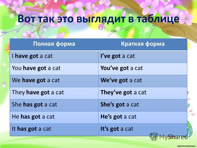 Have got презентации