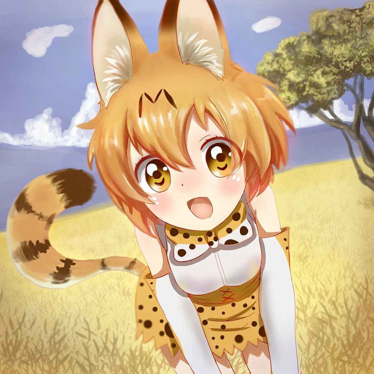 Kemono не обновляется. Kemono friends сервал. kemono friends serval.