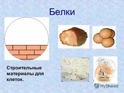 Строительный материал клеток и тканей