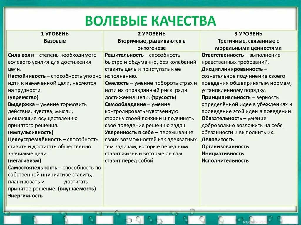 Уровни волевых качеств