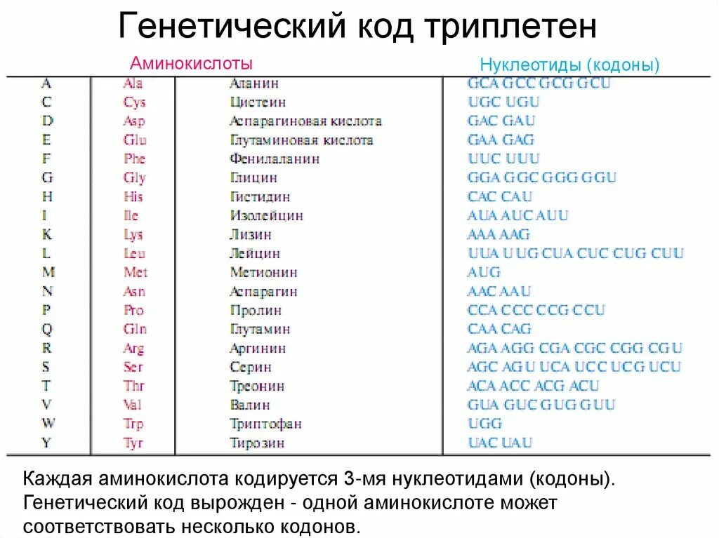 Код является. Генетический код триплетен. Генетический код аминокислоты. Коды аминокислот. Генетические коды аминокислот.