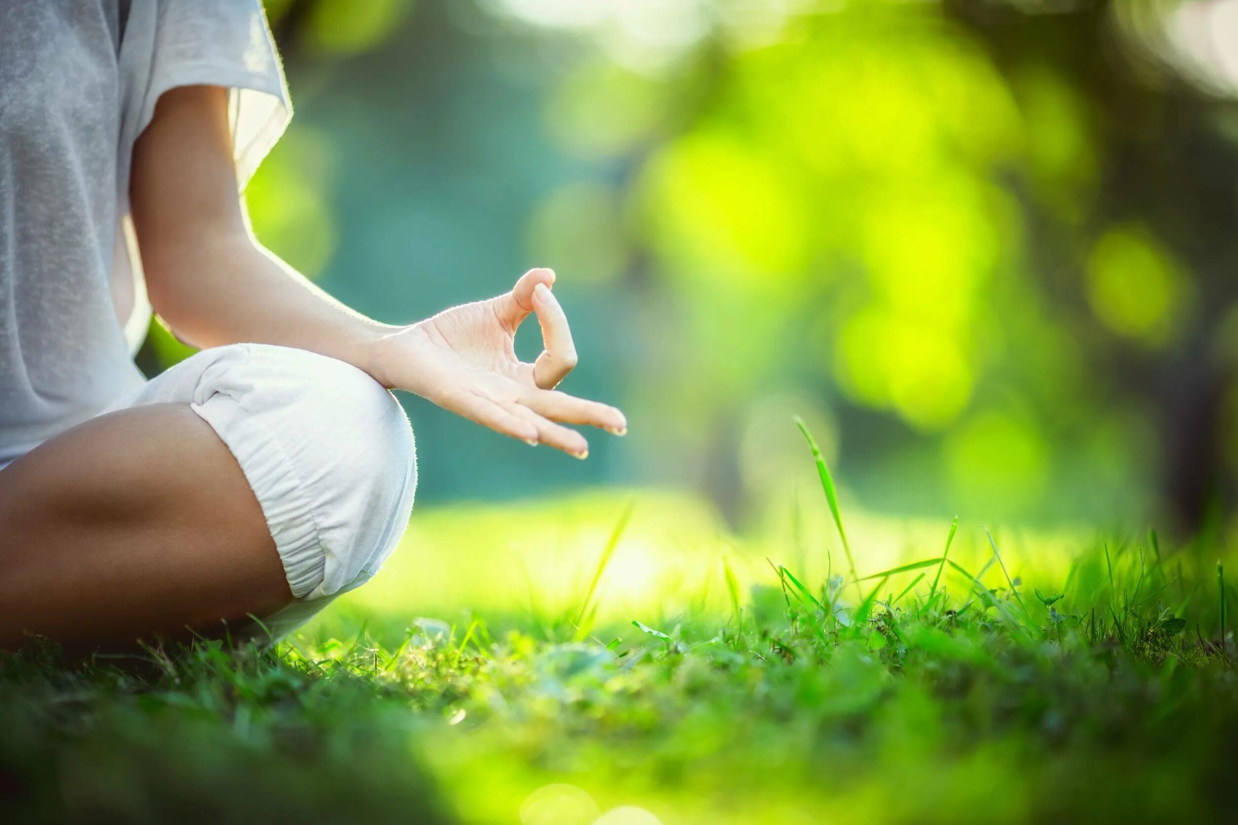 Цветок стресса. Медитирует на природе. Медитация на природе. Йога на природе. Медитация на траве.