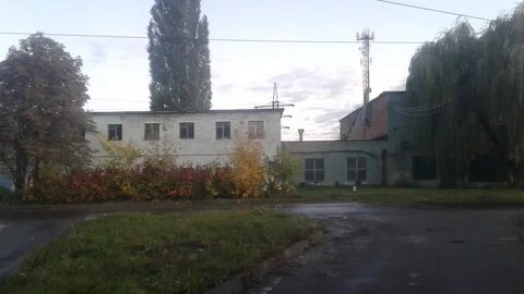 Завод прогресс мичуринск