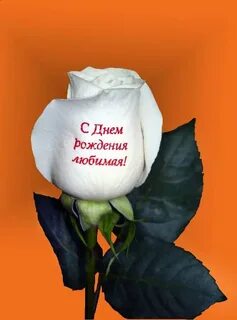 Картинки цветы с надписью пожеланий
