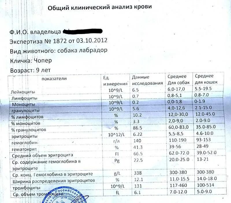 Норма анализов билирубин общий. Норма анализов билирубин общий