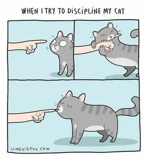 4 жизнь кота