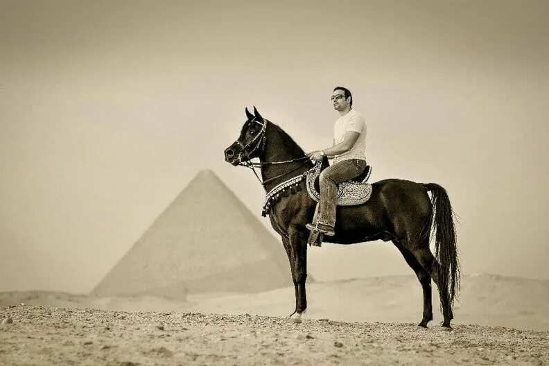 Всадник в пустыне. Всадник в пустыне живопись. Черный всадник. Лошадь возле пирамид. Ride the chariot