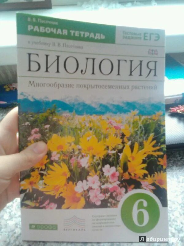 Биология 6 класс тетрадь Пасечник. Рабочая тетрадь 6 класс Пасечник биология 1999. 6 Класс биология Пасечник ФГОС. 6 Класс Пасечник в.в. «биология. Многообразие растений»;.