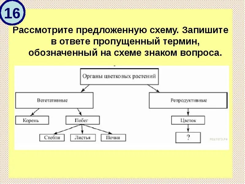 Определите что пропущено в определении