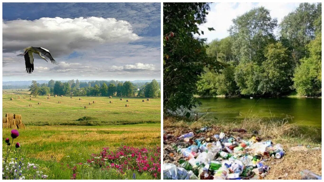 Экология республики беларусь. Экология Беларуси. Конкурс фотографий природа. Окружающая среда Беларуси. Природа Беларусь с людьми.