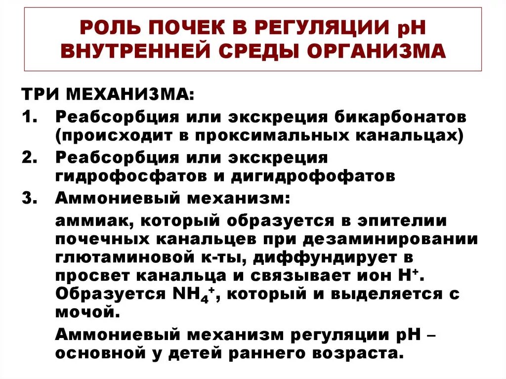 Роль почек в регуляции. Белковый обмен в почках. Невыделительные функции почек физиология. Роль почек в регуляции кислотно-основного равновесия. Роль почек в регуляции.