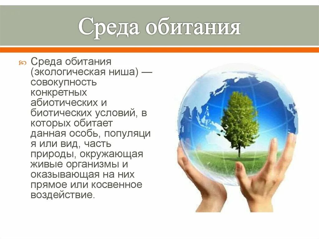 Среда обитания это часть природы. Среда обитания человека. Српда обитаоия человнка. Искусственная среда человека. Среда обитания человека экология.