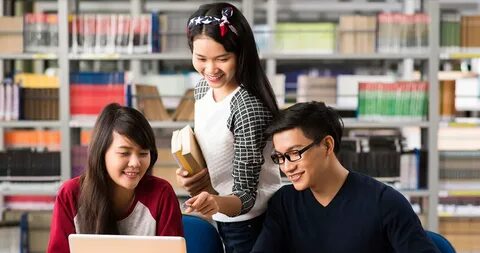 Language study international