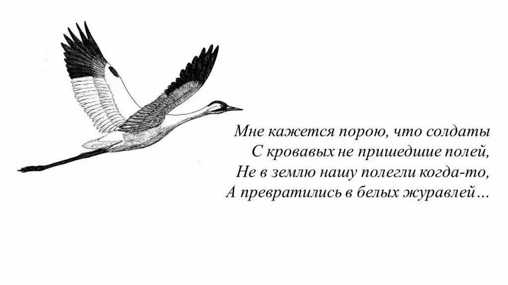 Текст песни журавли мне кажется порою что. Белый журавль. Мне кажется порою что солдаты с кровавых не пришедшие полей. Мне кажется порою картинки. Журавль силуэт на прозрачном фоне белый.