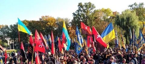 Против радикалов