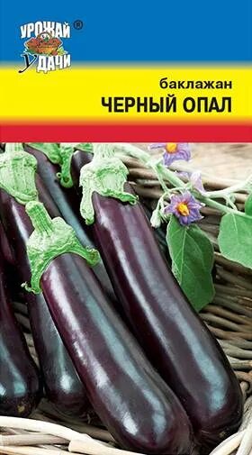Черный опал баклажан описание