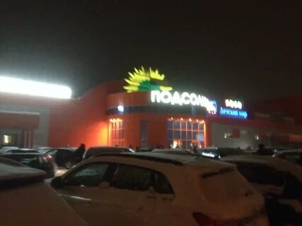 Подсолнух хабаровск