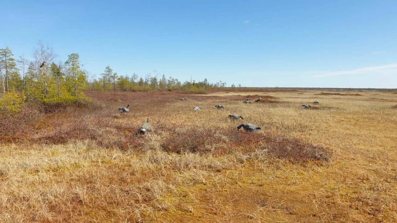 1 пвп. Охота в норвегии. 3. Wow хант бм. Ханта 1.