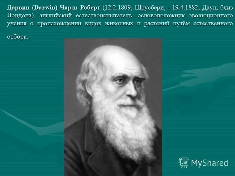 Основоположник эволюционного учения. Чарльз дарвин 1809-1882 основоположник. Основатель эволюционного учения. Создатели концепции эволюции. Биологическая теория дарвина.