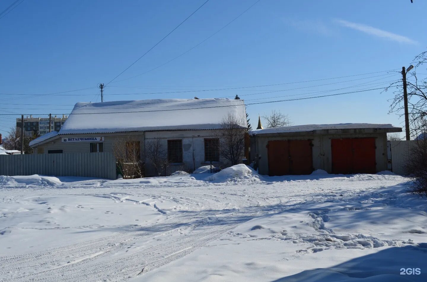 Городская ветеринарная станция Челябинск. Челябинская ветклиника.