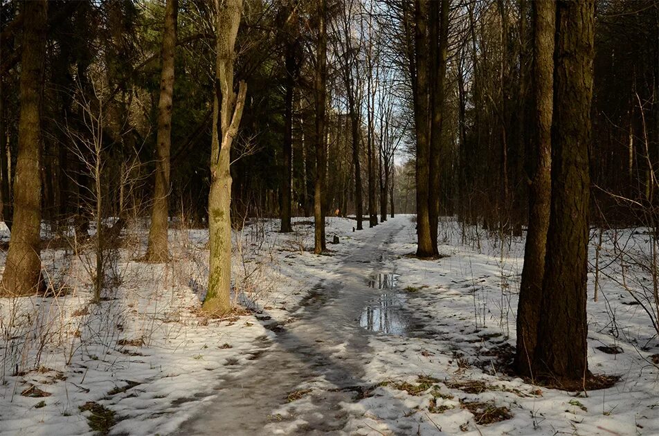 март подольск