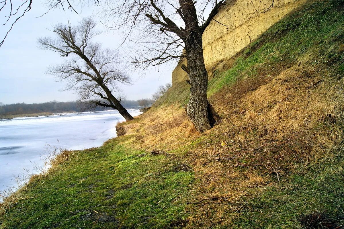 Прочноокопская Краснодарский край река. Новокубанский район Краснодарского края природа. Река Уруп Краснодарский край. Кубань Армавир станица Прочноокопская.