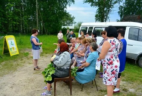 Погода осинки меленковский