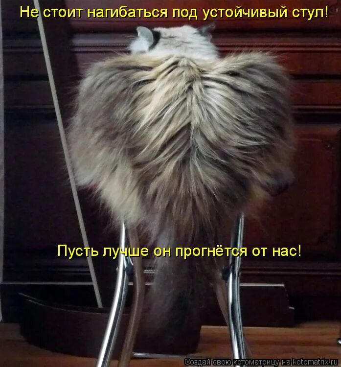 под ним лучше не стоять. прогибаться под изменчивый мир. постучись ко мне в дверь приколы. под ним лучше не стоять. нас не прогнуть, картинки.