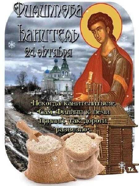 24 ноября дата. 24 ноября дата