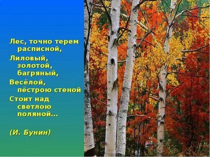 Леса роняли яркую пеструю листву