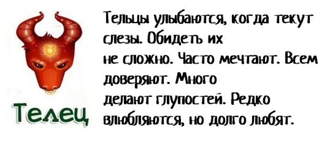 Как расстаются тельцы. Телец цитаты. Цитаты про Тельцов женщин. Высказывания про Тельцов. Смешные цитаты про Тельцов.