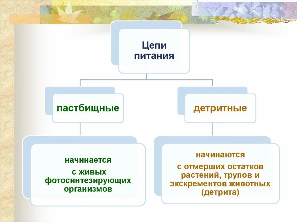 Детритная пищевая цепь и пастбищная различия. Детритная и пастбищная цепь. Типы пищевых цепей пастбищная и детритная. Пастбищные и детритные цепи питания. Пастбищная и детритная цепь питания.