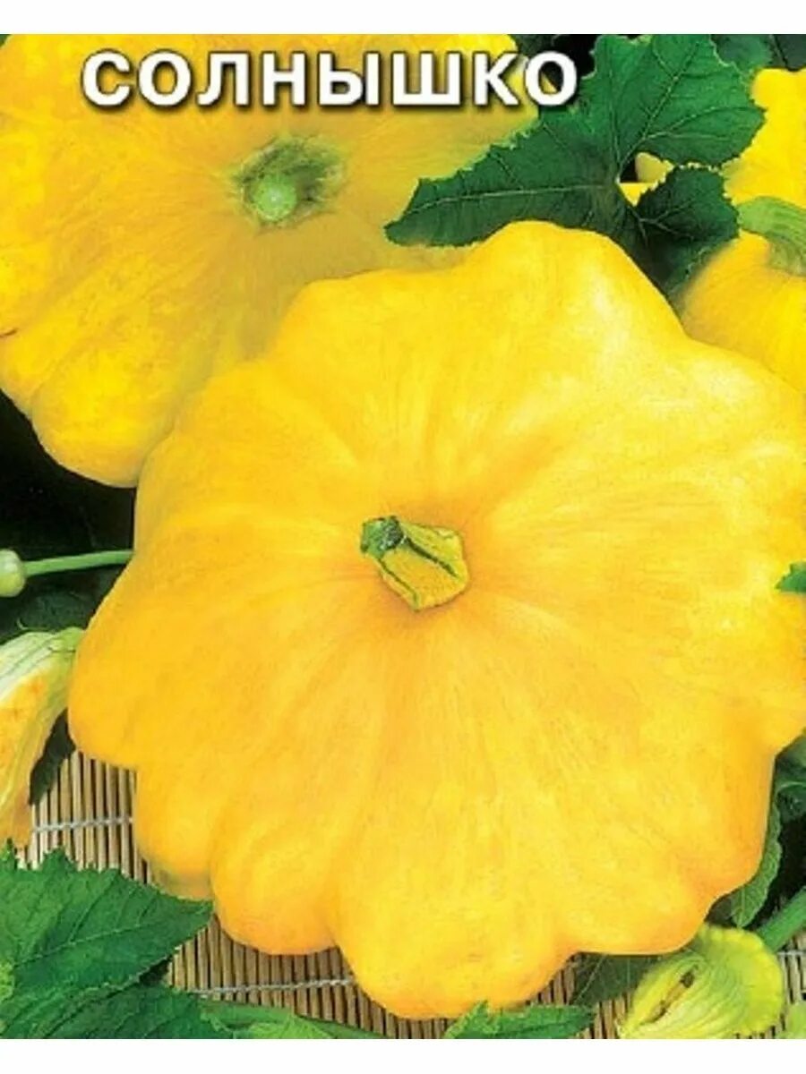 Семена патиссон белые13 1,0г. Патиссон солнышко. Семена патиссон солнышко. Гавриш патиссон солнышко. Патиссон солнышко, 1г.