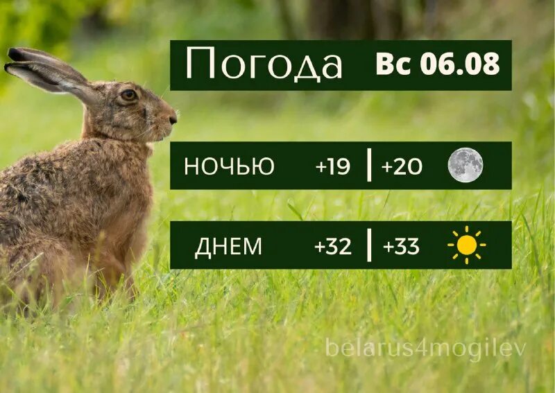 Беларусь 4 могилев. Беларусь 4 могилев