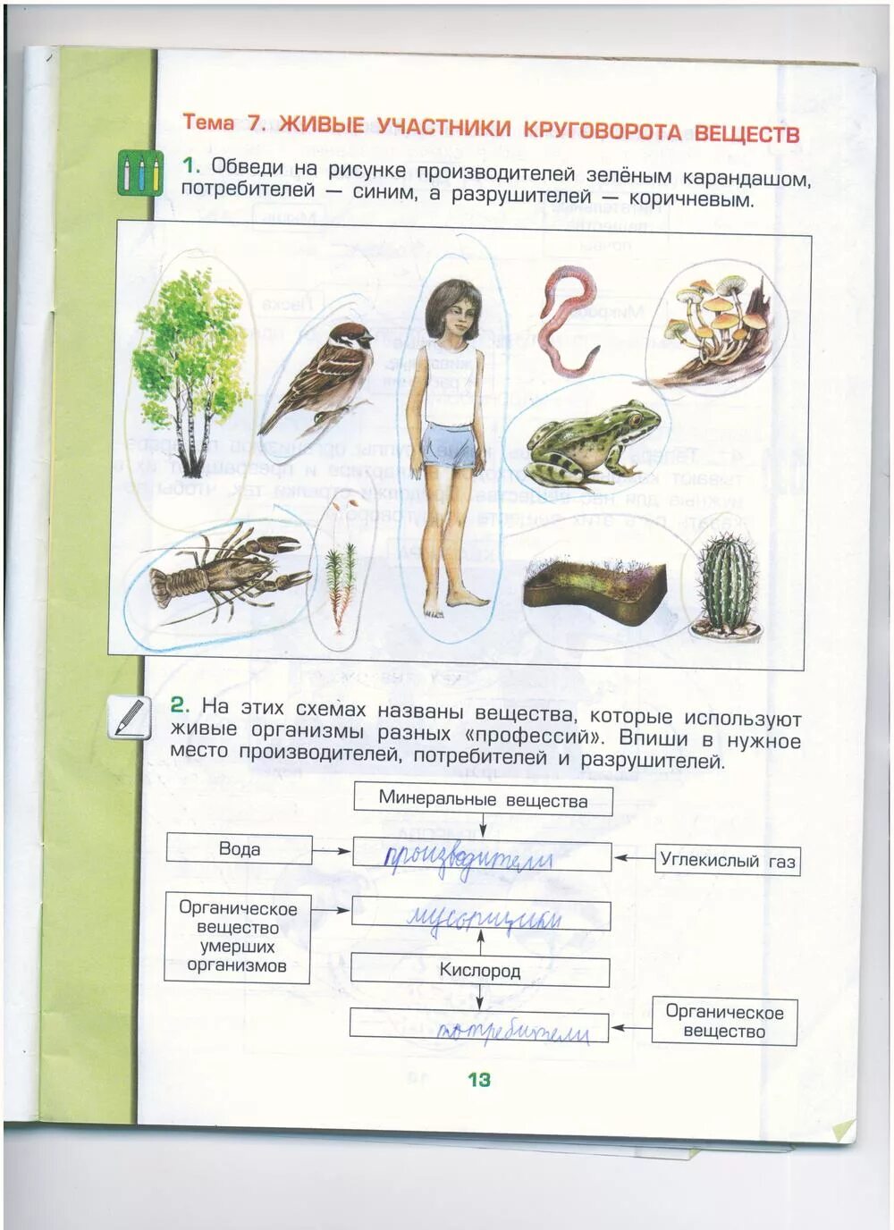 Окружающий мир рабочая тетрадь стр 13