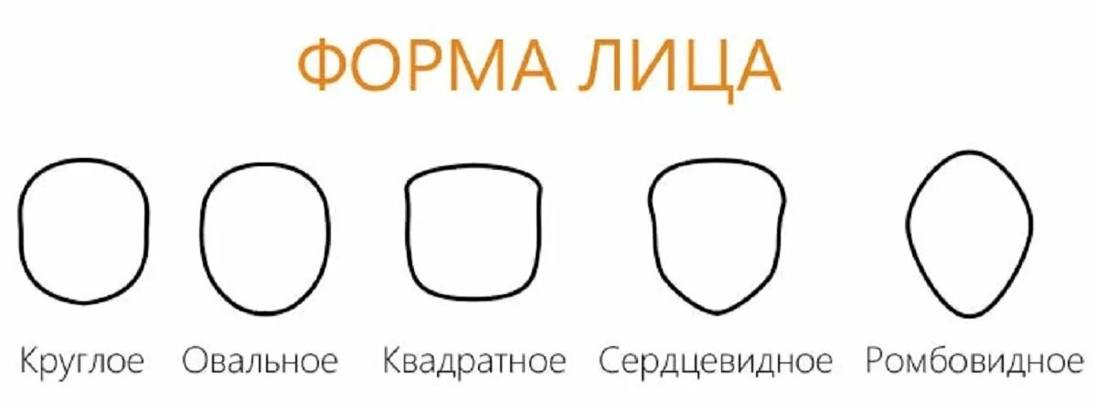 Округлая форма головы